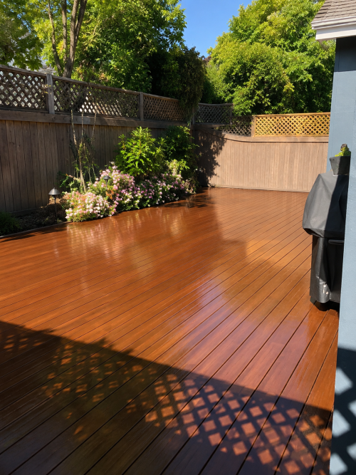 Premium Trex Outdoor Living Deck